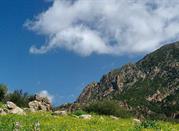 Nuxis, Sulcis
