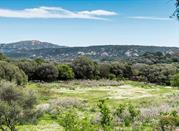 Tempo Pausania, Gallura