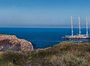Terrasini, Riserva di Capo Rama