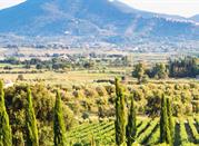 Gavorrano, Maremma Toscana