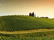 Greve in Chianti