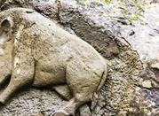 Cinghiale scolpito nella roccia
