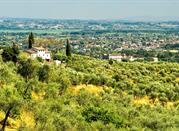 Uliveto