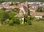 Vigneto circolare 