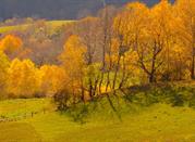 Autunno in Valle Isarco, Dolomiti