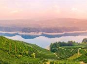 Cles, Val di Non,vigneti