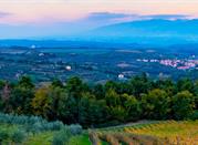 Vista su Cavriglia, Valdarno