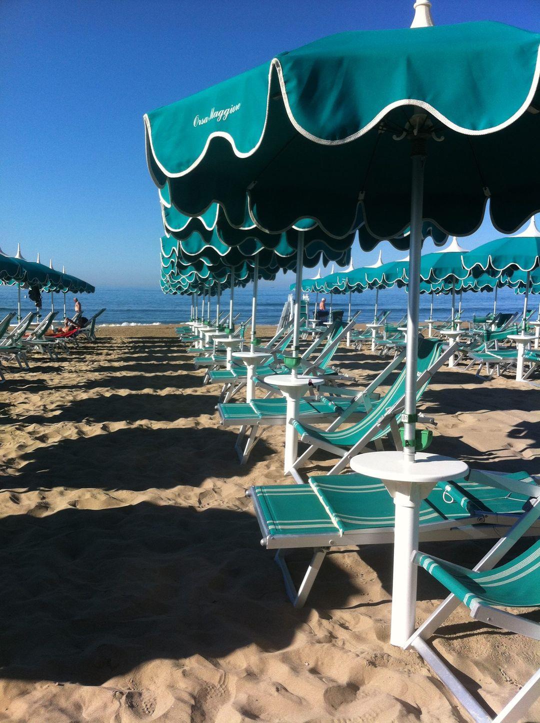 Orsa Maggiore