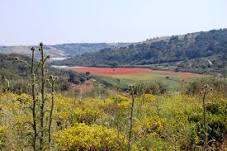 La Sughereta