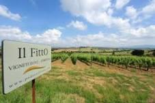 Podere Il Fitto