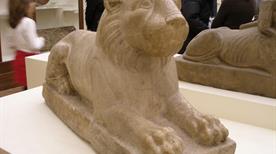 Museo Egipcio