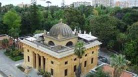 The Building