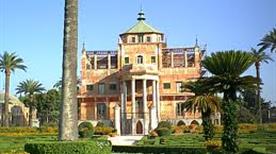 External view