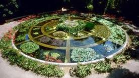 Nature at the garden