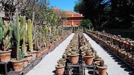 Jardín Botánico