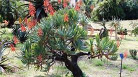 Nature at the Garden