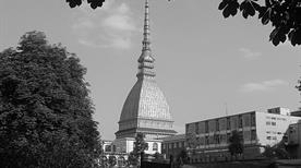 Blick auf die Antonelliana Turm