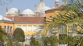 Il giardino botanico di Padova