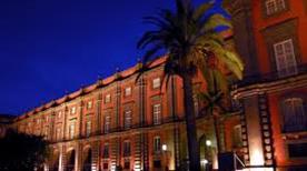 Night View