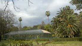 Greenhouse