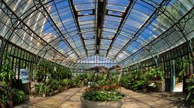 Orto Botanico di Palermo, 