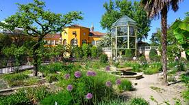 Orto botanico di Padova
