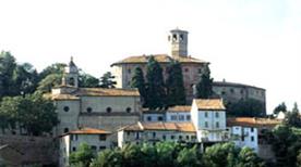 Calamandrana