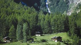 Mezzana in Val di Sole