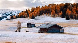 Alpe di Siusi