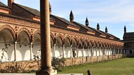 Pavia