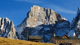 Bellamonte
