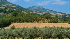 Brittoli