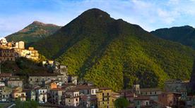 Orsomarso