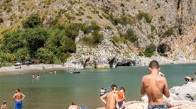 Centola