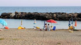 Pisciotta