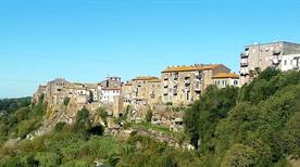 Blera