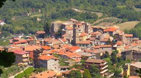 Sgurgola