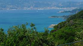Ameglia