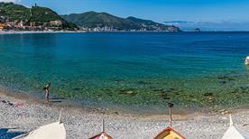 Noli