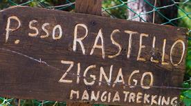 Zignago