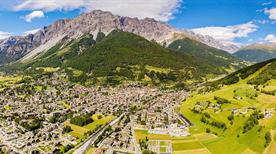 Valfurva