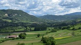 Cecima