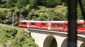 Tirano