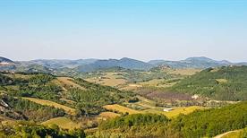 Avolasca
