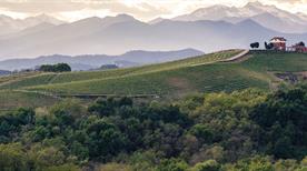Gattinara