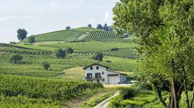 Nizza Monferrato