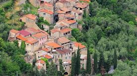 Vignolo