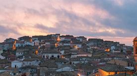 Bovino