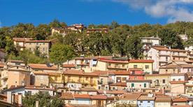 Tonara