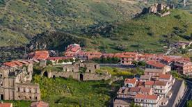 Troina
